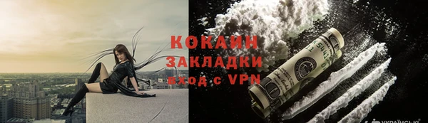 тгк Арсеньев