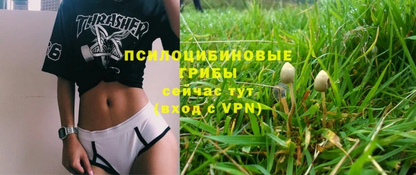 ALPHA-PVP Армянск